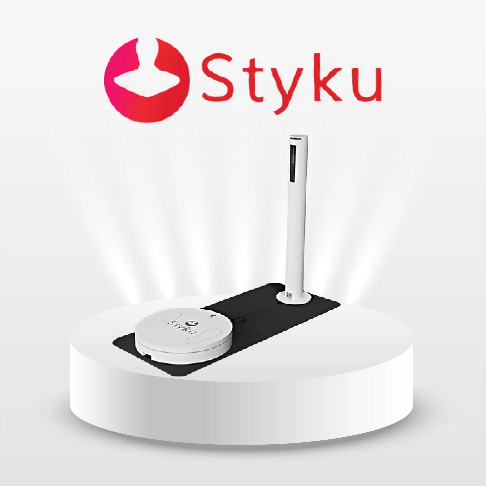 Styku